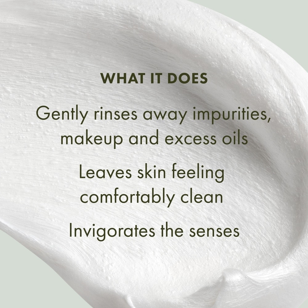 Checks and Balances™ Frothy Face Wash, 50ml